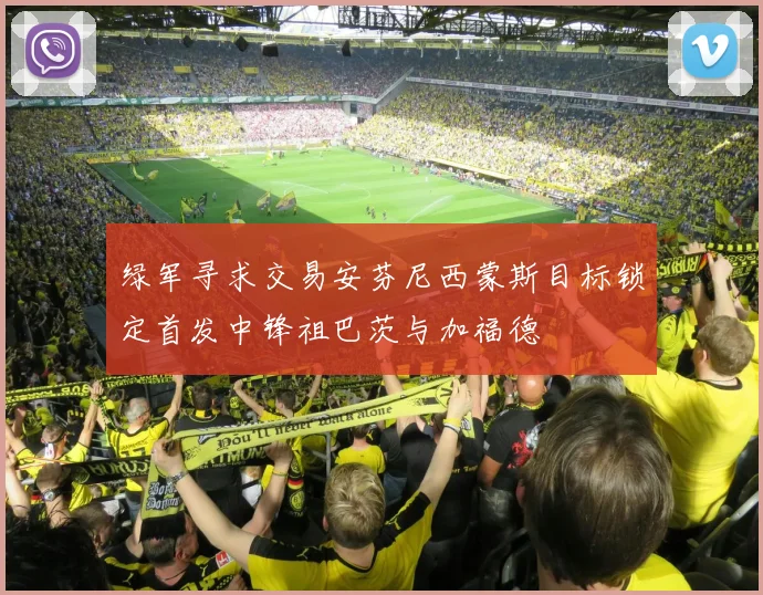 绿军寻求交易安芬尼西蒙斯目标锁定首发中锋祖巴茨与加福德