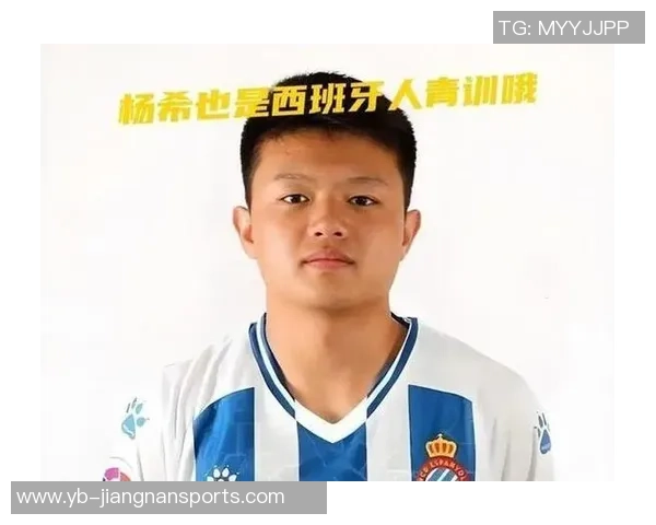 杨希转会费143万欧或成本土标王总额约1170万人民币引发关注